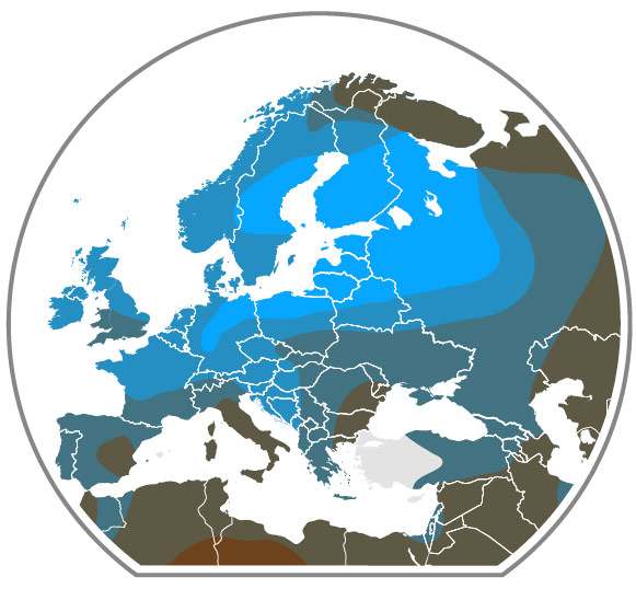 Blue Eyes Map Of The World - Feliza Valentine